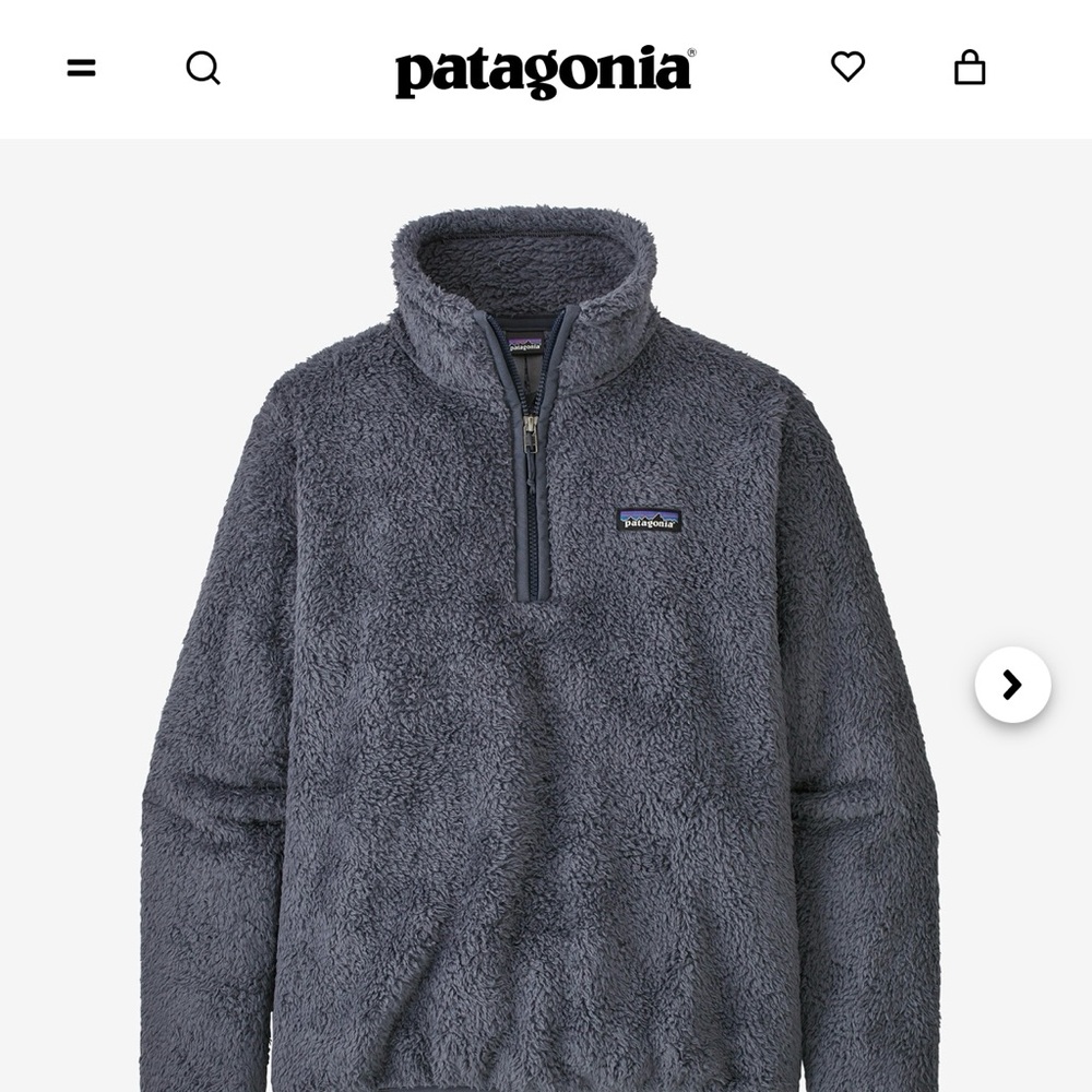NWOT Patagonia Los Gatos Fleece